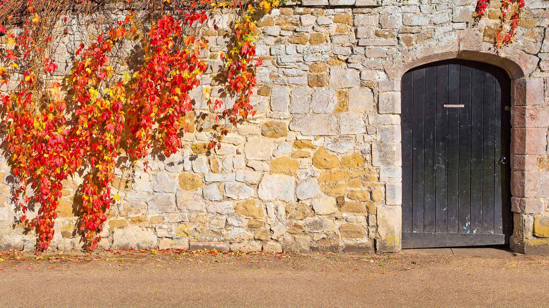Orange and yellow fall leaves and stone wall of a Cambridge college gate