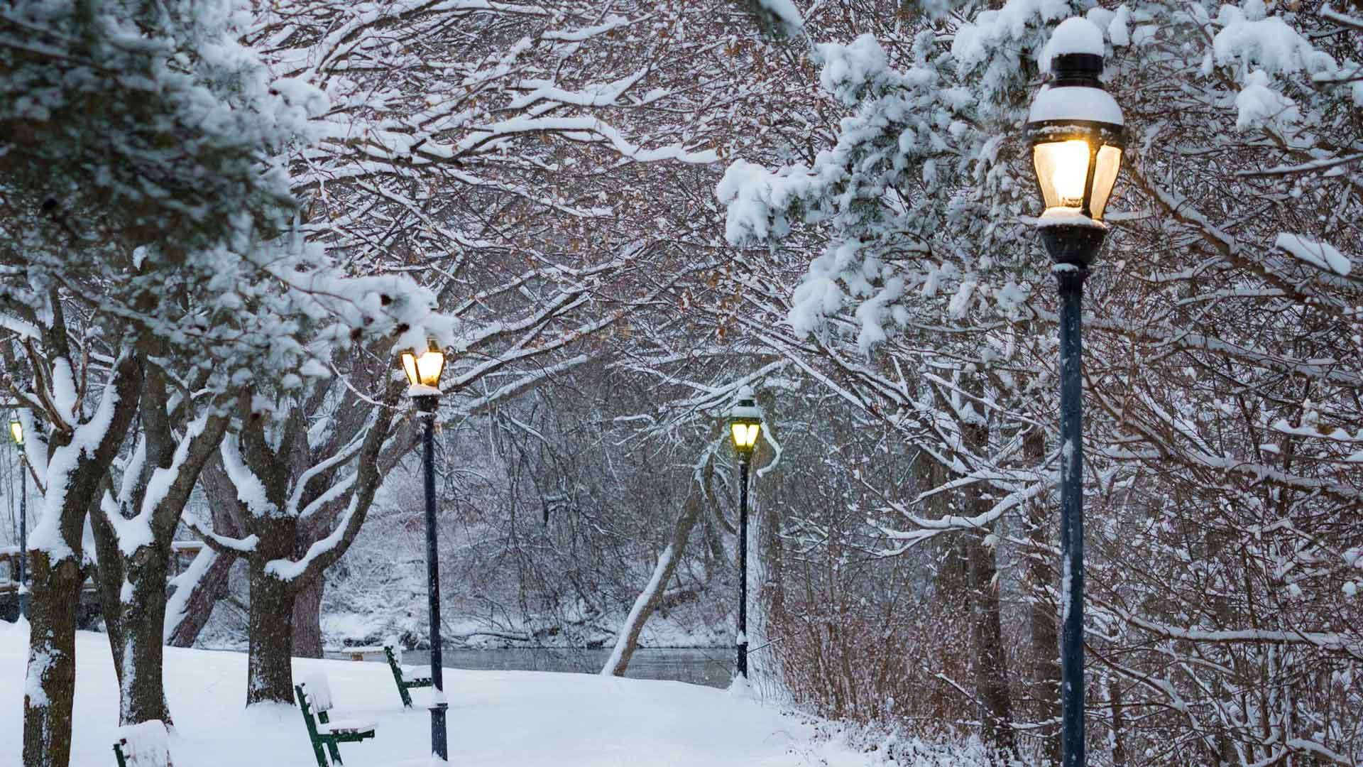Lampposts, benches and trees covered in snow